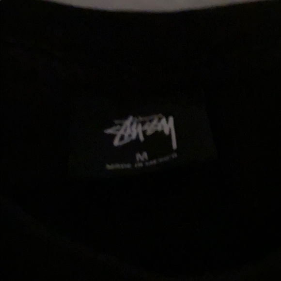 Stussy Paisley Logo Tee - Picture 3 of 3